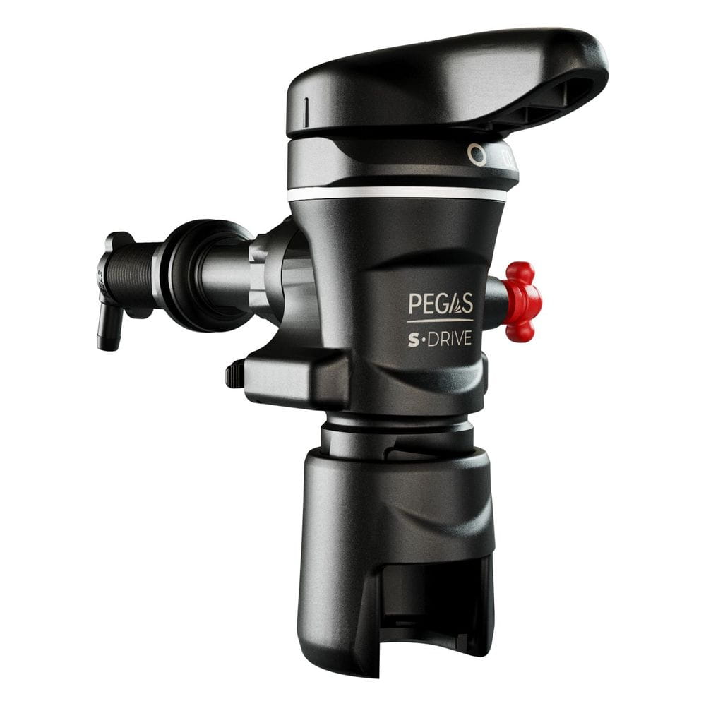 Pegas S-Drive 1 сорт db1d34aa665c1d6c2d1ef95fd36ed942 — копия.jpg