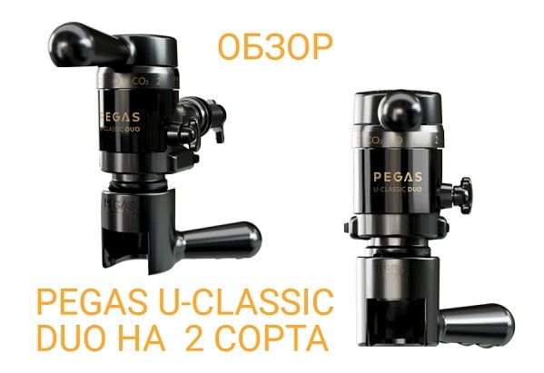 obzor-uclassic-duo-min.jpg