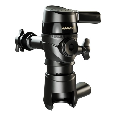 Пегас Авант