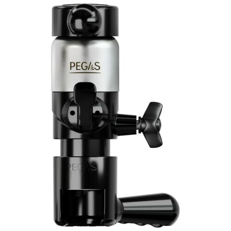 2 Пегас НеоКлассик Дуо, Пегас Классик, пивной Пегас